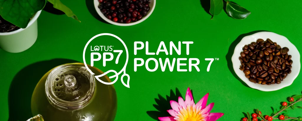 Lotus Energy - Salud Salt & Spa